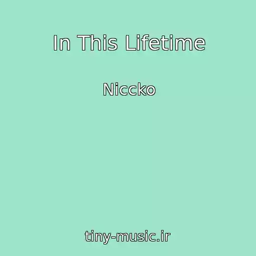 کاور آهنگ In This Lifetime از Niccko
