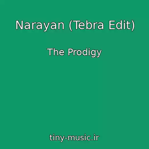 کاور آهنگ Narayan (Tebra Edit) از The Prodigy