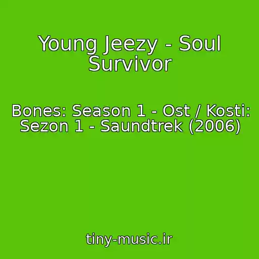کاور آهنگ Young Jeezy - Soul Survivor از Bones: Season 1 - Ost / Kosti: Sezon 1 - Saundtrek (2006)