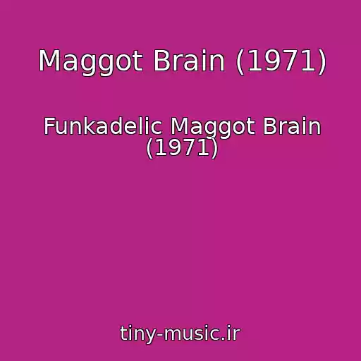 کاور آهنگ Maggot Brain (1971) از Funkadelic Maggot Brain (1971)