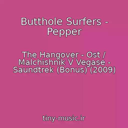 کاور آهنگ Butthole Surfers - Pepper از The Hangover - Ost / Malchishnik V Vegase - Saundtrek (Bonus) (2009)