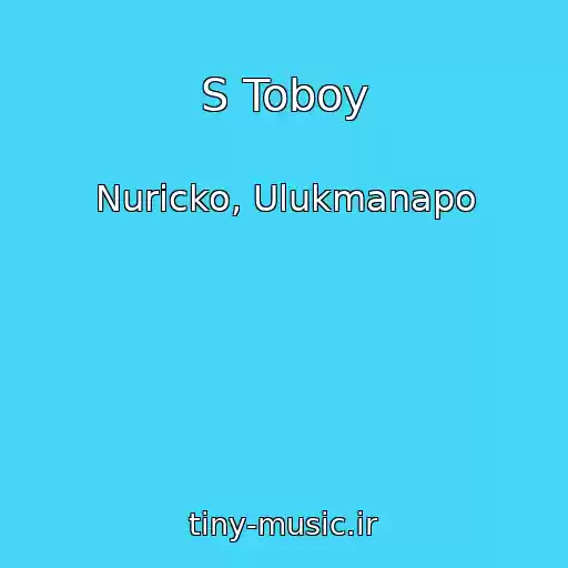 کاور آهنگ S Toboy از Nuricko, Ulukmanapo
