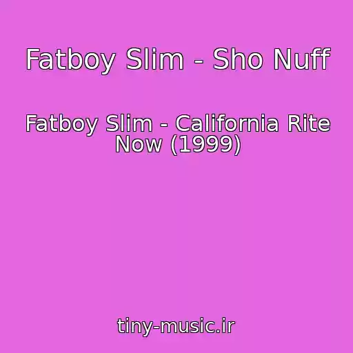 کاور آهنگ Fatboy Slim - Sho Nuff از Fatboy Slim - California Rite Now (1999)