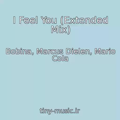 کاور آهنگ I Feel You (Extended Mix) از Bobina, Marcus Dielen, Mario Cola