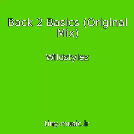 کاور آهنگ Back 2 Basics (Original Mix) از Wildstylez