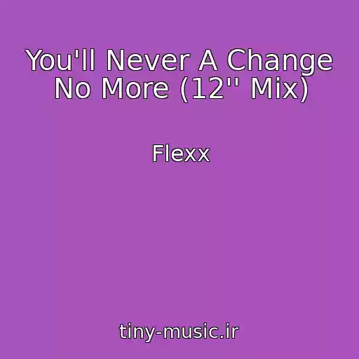 کاور آهنگ You'll Never A Change No More (12'' Mix) از Flexx