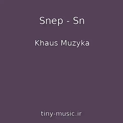کاور آهنگ Snep - Sn از Khaus Muzyka