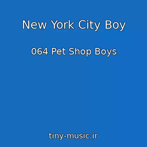 کاور آهنگ New York City Boy از 064 Pet Shop Boys