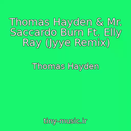 کاور آهنگ Thomas Hayden & Mr. Saccardo Burn Ft. Elly Ray (Jyye Remix) از Thomas Hayden