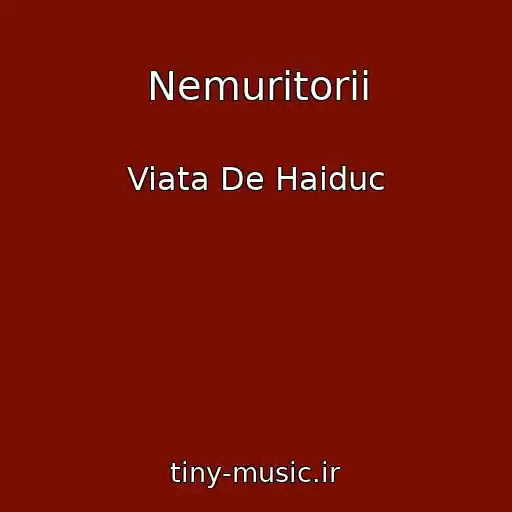 کاور آهنگ Nemuritorii از Viata De Haiduc