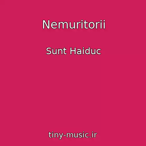 کاور آهنگ Nemuritorii از Sunt Haiduc