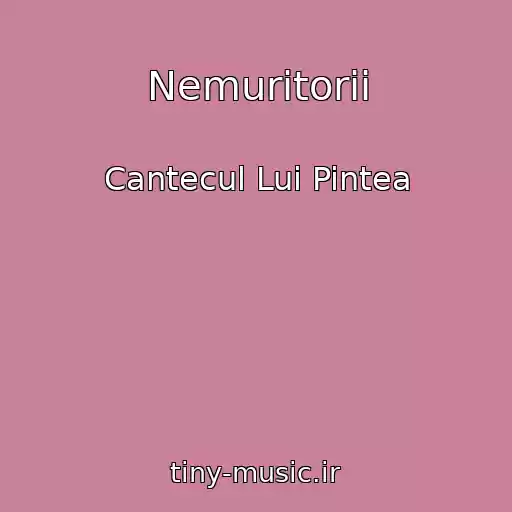کاور آهنگ Nemuritorii از Cantecul Lui Pintea