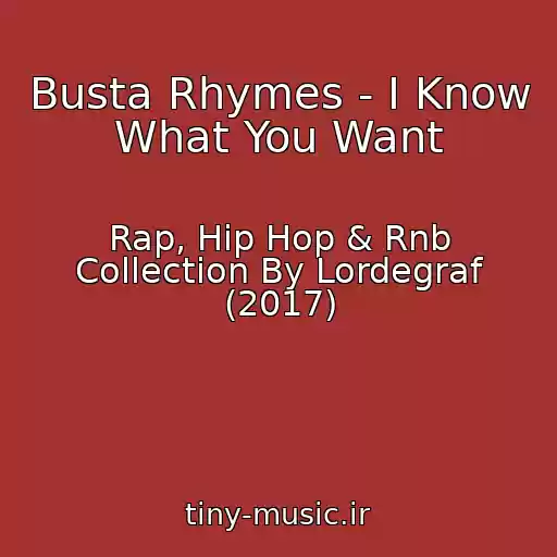 کاور آهنگ Busta Rhymes - I Know What You Want از Rap, Hip Hop & Rnb Collection By Lordegraf (2017)