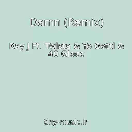 کاور آهنگ Damn (Remix) از Ray J Ft. Twista & Yo Gotti & 40 Glocc