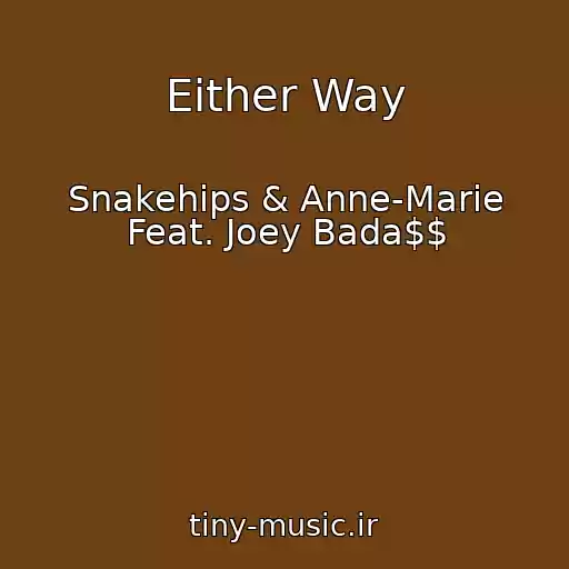 کاور آهنگ Either Way از Snakehips & Anne-Marie Feat. Joey Bada$$