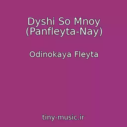 کاور آهنگ Dyshi So Mnoy (Panfleyta-Nay) از Odinokaya Fleyta