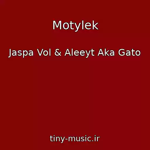 کاور آهنگ Motylek از Jaspa Vol & Aleeyt Aka Gato