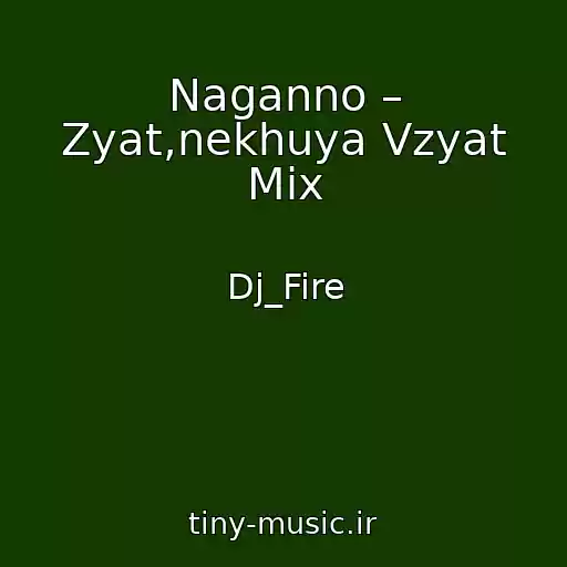 کاور آهنگ Naganno – Zyat,nekhuya Vzyat Mix از Dj_Fire