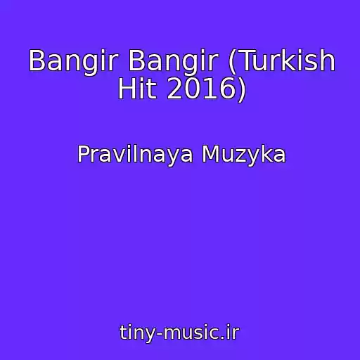 کاور آهنگ Bangir Bangir (Turkish Hit 2016) از Pravilnaya Muzyka