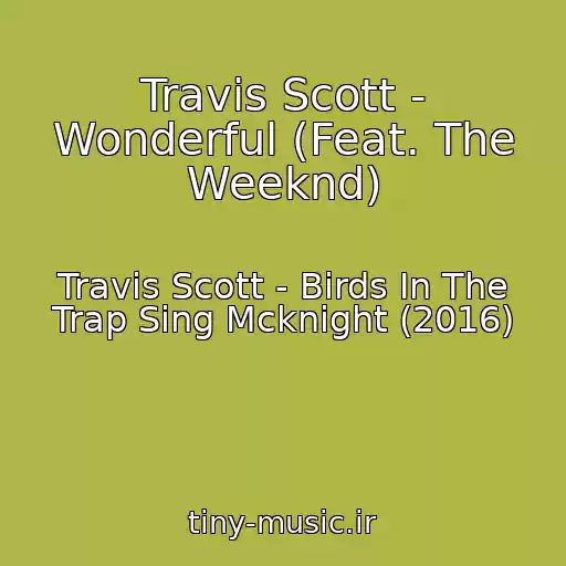 کاور آهنگ Travis Scott - Wonderful (Feat. The Weeknd) از Travis Scott - Birds In The Trap Sing Mcknight (2016)