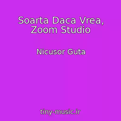 کاور آهنگ Soarta Daca Vrea, Zoom Studio از Nicusor Guta