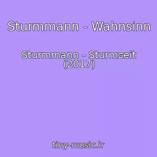 کاور آهنگ Sturmmann - Wahnsinn از Sturmmann - Sturmzeit (2017)