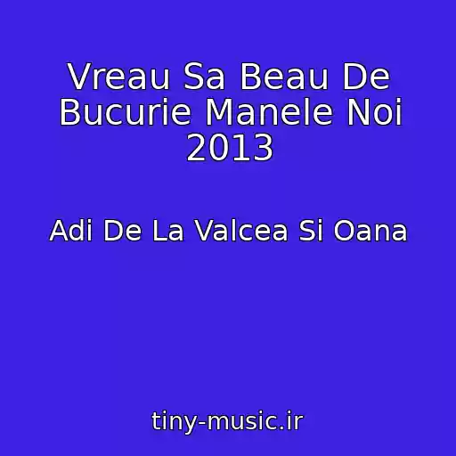 کاور آهنگ Vreau Sa Beau De Bucurie Manele Noi 2013 از Adi De La Valcea Si Oana