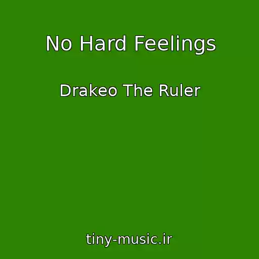 کاور آهنگ No Hard Feelings از Drakeo The Ruler