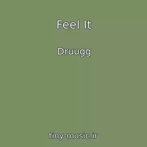 کاور آهنگ Feel It از Druugg