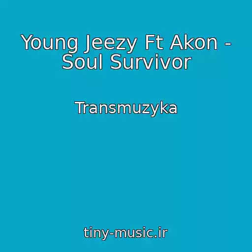کاور آهنگ Young Jeezy Ft Akon - Soul Survivor از Transmuzyka
