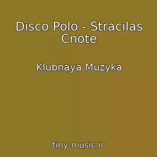 کاور آهنگ Disco Polo - Stracilas Cnote از Klubnaya Muzyka
