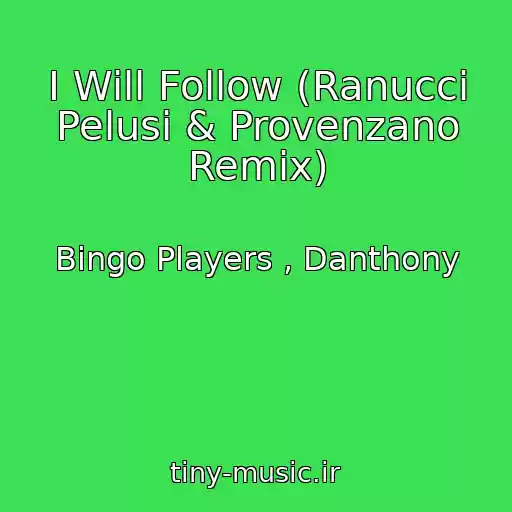 کاور آهنگ I Will Follow (Ranucci Pelusi & Provenzano Remix) از Bingo Players , Danthony