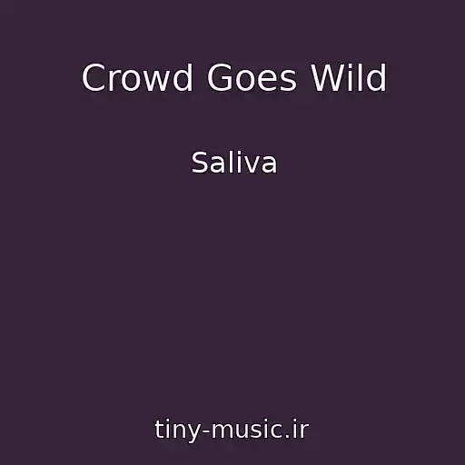 کاور آهنگ Crowd Goes Wild از Saliva
