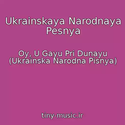 کاور آهنگ Ukrainskaya Narodnaya Pesnya از Oy, U Gayu Pri Dunayu (Ukraїnska Narodna Pіsnya)