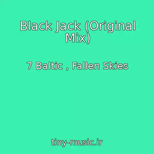کاور آهنگ Black Jack (Original Mix) از 7 Baltic , Fallen Skies