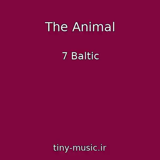 کاور آهنگ The Animal از 7 Baltic