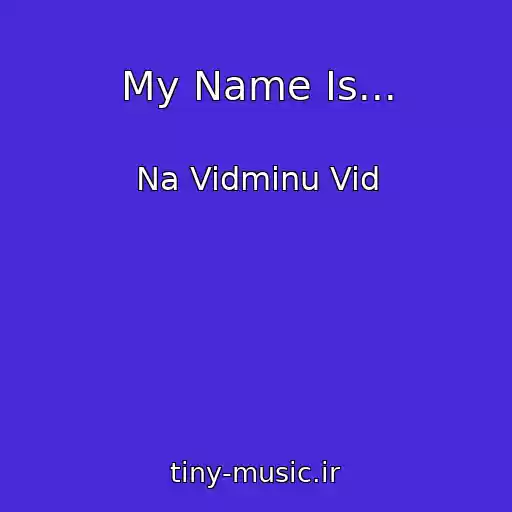 کاور آهنگ My Name Is... از Na Vidminu Vid