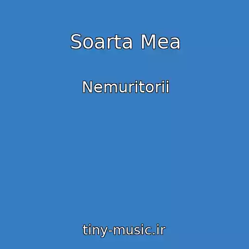 کاور آهنگ Soarta Mea از Nemuritorii