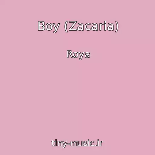 کاور آهنگ Boy (Zacaria) از Roya