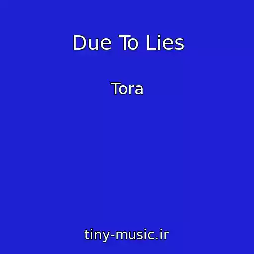 کاور آهنگ Due To Lies از Tora
