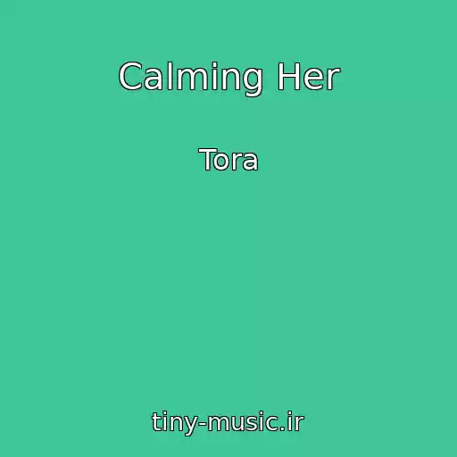 کاور آهنگ Calming Her از Tora
