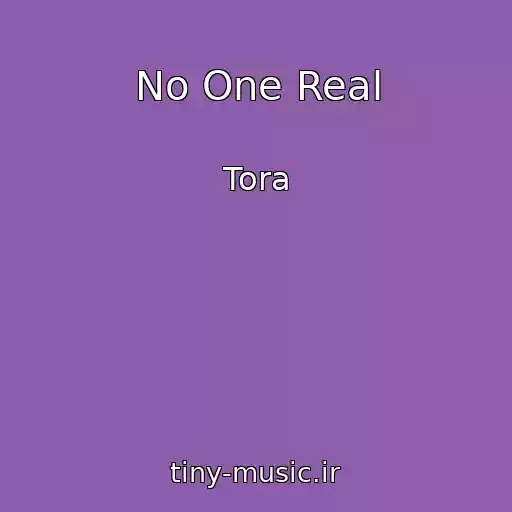 کاور آهنگ No One Real از Tora