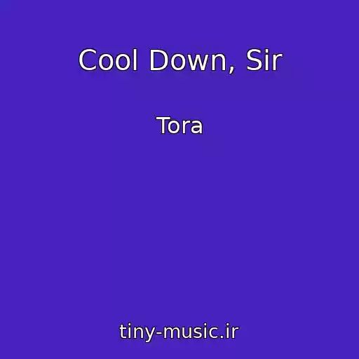 کاور آهنگ Cool Down, Sir از Tora
