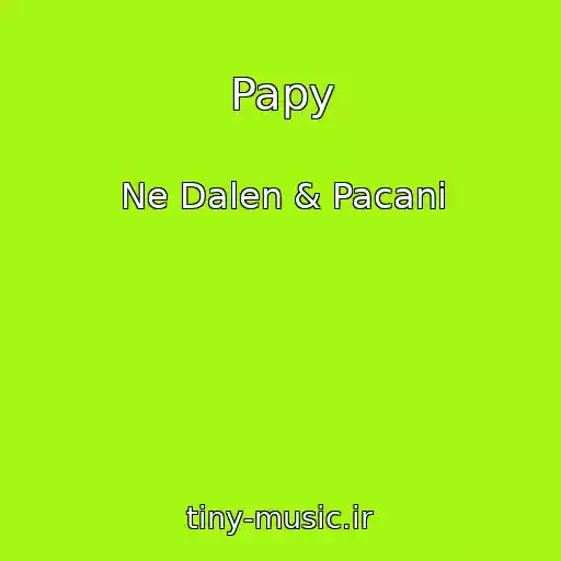 کاور آهنگ Papy از Ne Dalen & Pacani