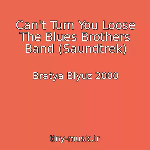 کاور آهنگ Can't Turn You Loose The Blues Brothers Band (Saundtrek) از Bratya Blyuz 2000