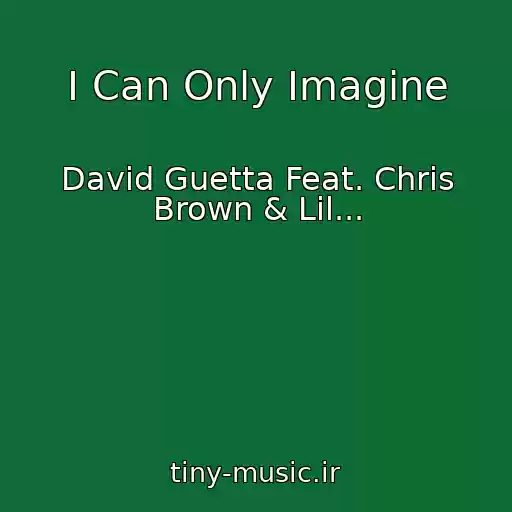 کاور آهنگ I Can Only Imagine از David Guetta Feat. Chris Brown & Lil...