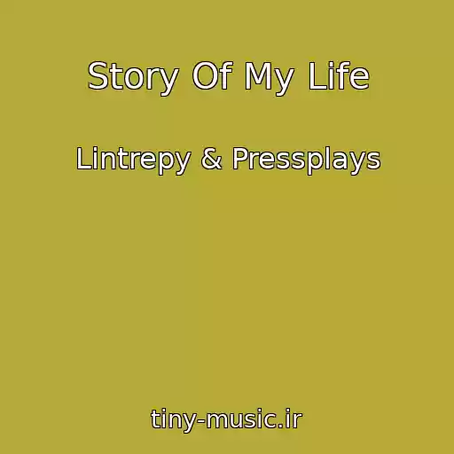 کاور آهنگ Story Of My Life از Lintrepy & Pressplays