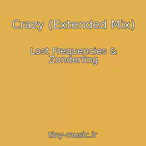 کاور آهنگ Crazy (Extended Mix) از Lost Frequencies & Zonderling