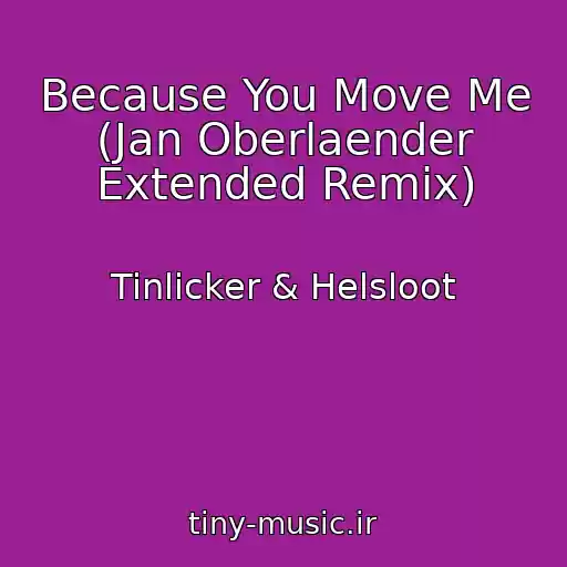 کاور آهنگ Because You Move Me (Jan Oberlaender Extended Remix) از Tinlicker & Helsloot