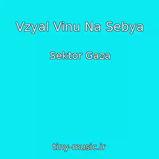 کاور آهنگ Vzyal Vinu Na Sebya از Sektor Gaza